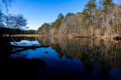 Tribble-Mill-13