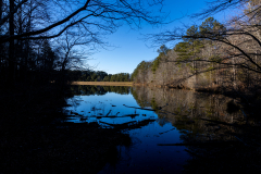 Tribble-Mill-15