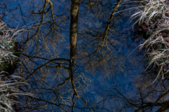 Tribble-Mill-16