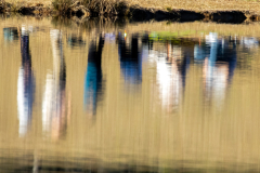 Tribble-Mill-5
