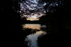 Tribble-Mill-Park-Sunset-015