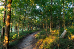 Tribble-Mill-Park-Sunset-023