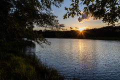 Tribble-Mill-Park-Sunset-026