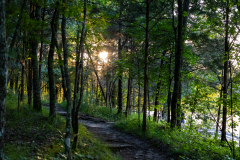 Tribble-Mill-Park-Sunset-059