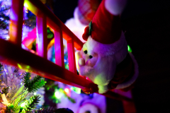 Santa ladder climber