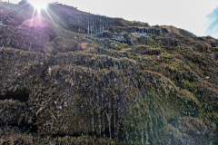 Covered bridge dam Covered bridge dam
