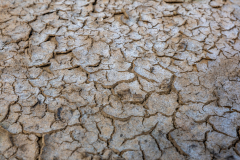 Dry riverbed Dry riverbed