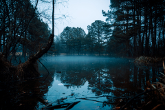 Alexander-Park-Wet-Wintry-04