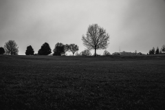 Alexander-Park-Wet-Wintry-07