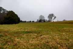 Alexander-Park-Wet-Wintry-17