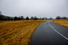 Alexander-Park-Wet-Wintry-21