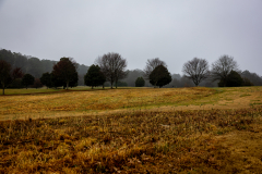 Alexander-Park-Wet-Wintry-22