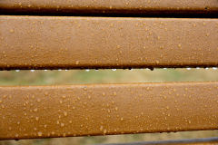 Alexander-Park-Wet-Wintry-23