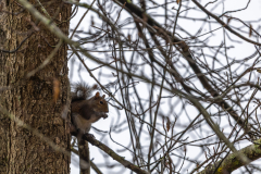 Alexander-Park-Wet-Wintry-46