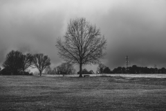 Alexander-Park-Wet-Wintry-78