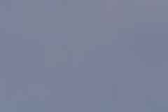 Wings-Over-North-Georgia-DN-59