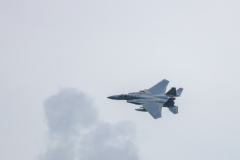 Wings-Over-North-Georgia-125