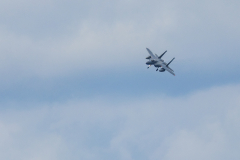 Wings-Over-North-Georgia-128