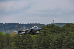Wings-Over-North-Georgia-130