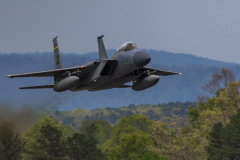 Wings-Over-North-Georgia-142