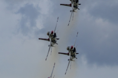 Wings-Over-North-Georgia-DN-29